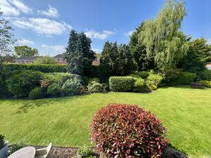 Lounge View- click for photo gallery